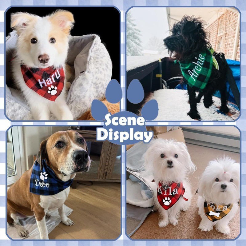 Besticktes Hunde-Bandana mit N – Embroidery Pashmina Bewertung und Preis